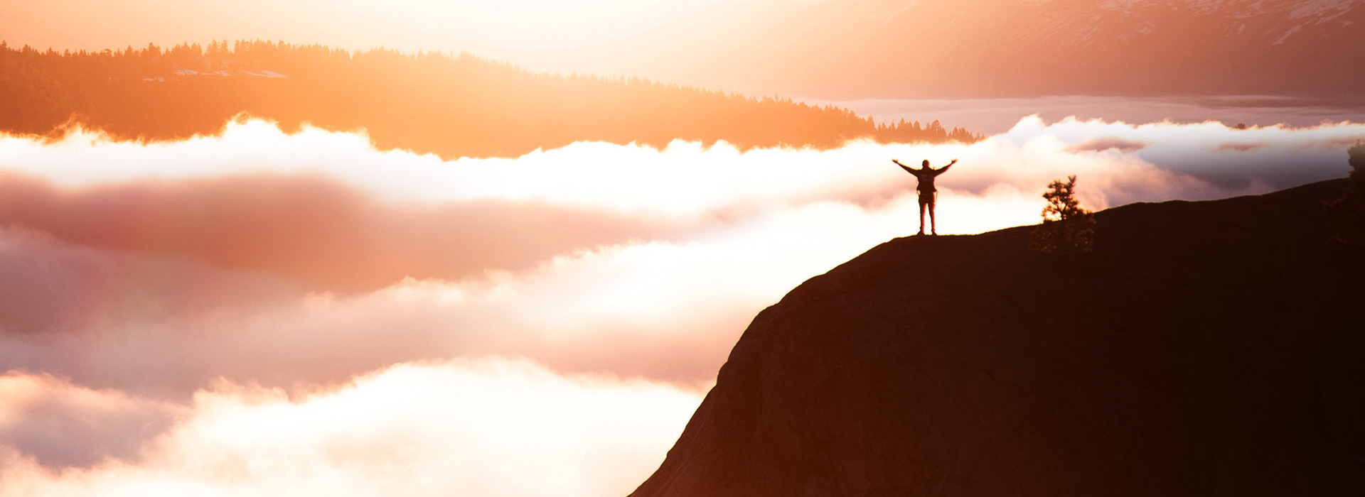 ����֮��8590cn�����Ƽ�-AI������_�����a�__�����ŵ�