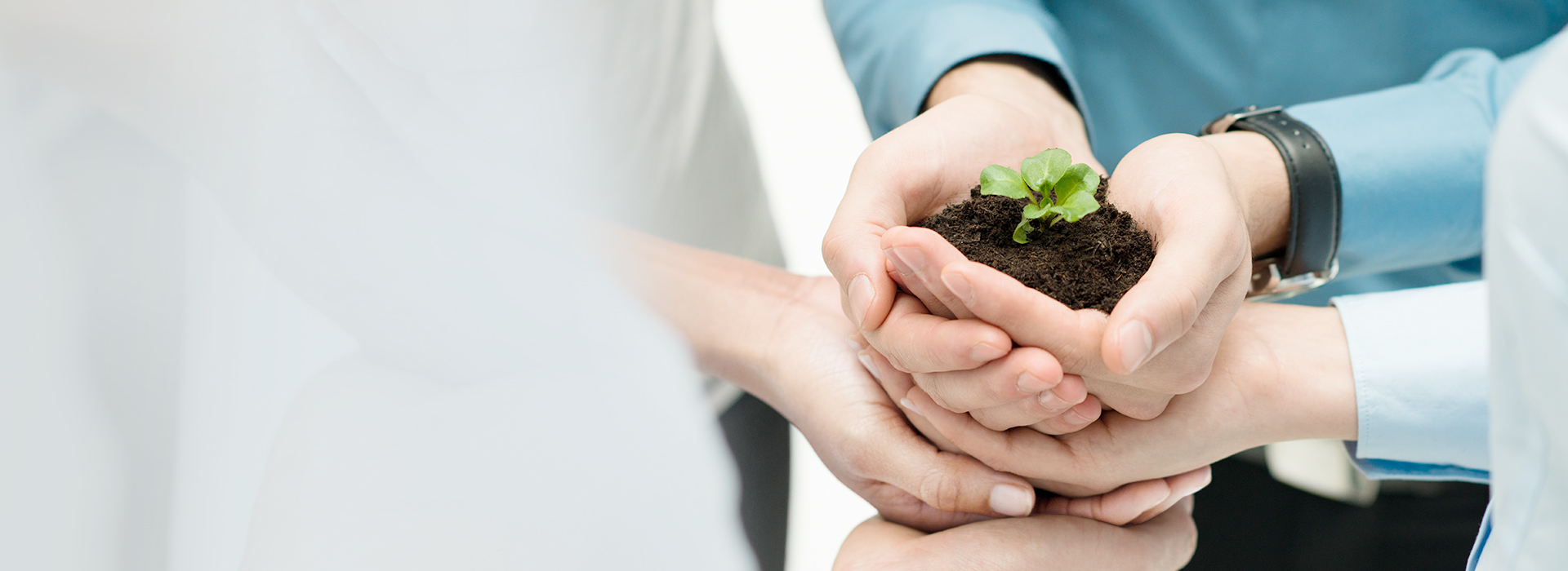 ����֮��8590cn�����Ƽ�-AI������_�����a�__�����ŵ�